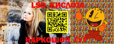 прущие грибы Кунгур
