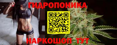 прущие грибы Кунгур