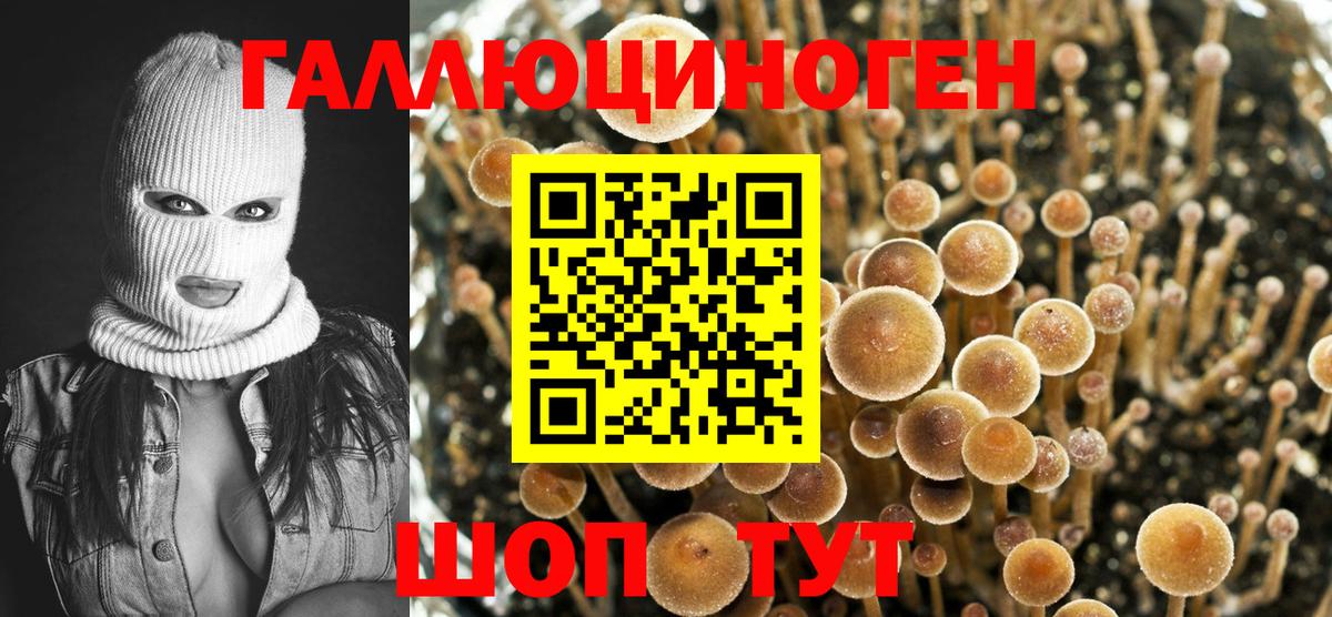 Ирбит  Галлюциногенные грибы Magic Shrooms  Вход с VPN 