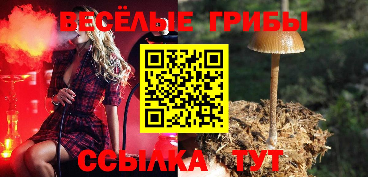 Галлюциногенные грибы MAGIC MUSHROOMS Ирбит
